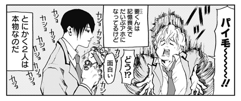 漫画 忘却バッテリー ネタバレ感想 主人公が記憶喪失でアホになっちゃった野球漫画 ぽてとブログ